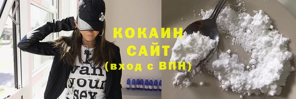 прущие грибы Балахна