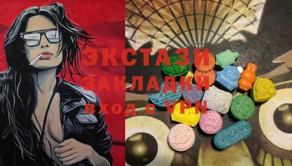 твердый Гусев