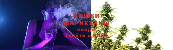 гашик Гусиноозёрск