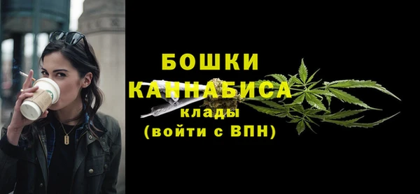 гашик Гусиноозёрск