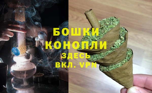 гашик Гусиноозёрск