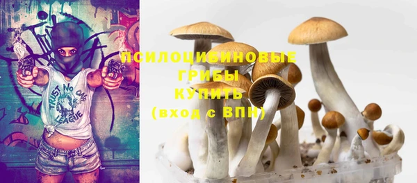 спиды Гусь-Хрустальный