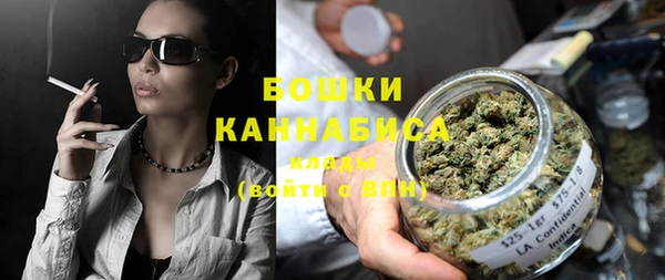 прущие грибы Балахна