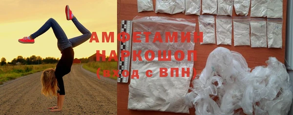 прущие грибы Балахна